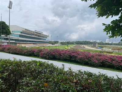 SINGAPORE GOVERNMENT PIN THEIR HOPES ON WOMEN POWER TO HELP SAVE 177 YEARS OF HORSE RACING HISTORY