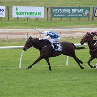 LOGAN RACING HAVE A BIG TEAM LINING UP AT RUAKAKA ON WEDNESDAY OCTOBER 4TH INCLUDING 7 DEBUT RUNNERS  