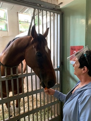 LOGAN RACING STABLES SINGAPORE , SATURDAY MARCH 20TH
