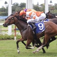 LOGAN RACING STABLES HAVE 3 STARTERS AT HAWKES BAY  ON SATURDAY 14 APRIL